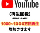 ユウチューブ　再生回数 1000回増加させます Youtube投稿の再生回数を最大1000万回再生にします イメージ1