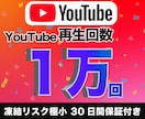 YouTubeの再生回数を1万回増やします 【凍結リスク極小】30日間の減少保証付き 高品質ユーザー イメージ1