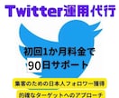 初回90日！Twitter運用代行いたします 個人法人問わず　見込み客へと人間味のあるアプローチをします。 イメージ1