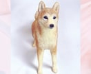 大切な愛犬さんをお作りします 世界にたった一つ♡うちのコ羊毛フェルト♡ イメージ8