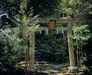どんな悩みに対しても最善の未来へ進む答えを授けます 【原因は一つではない】全ての流れを解明し好転の道を示します イメージ4