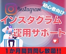 インスタ初心者さん、1ヶ月間サポートします 1ヶ月間インスタに関する相談なんでも質問し放題です！ イメージ1