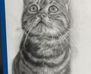 動物・写真から感動の一枚を制作します 「大切な家族の“今”を一枚の絵に」 イメージ2