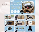 猫モデルとペット商品撮影&広告動画制作いたします ˗ˋˏ商品・サービスの魅力を伝える飽きさせない動画制作ˎˊ˗ イメージ3