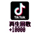 TikTok 再生回数増やします お試し価格☆複数動画に分散もOk!10000回 2000円~ イメージ1