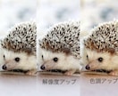 サンプル無料 大事なイラストと古い写真 復元します 色あせがあったり画質が悪い画像でも綺麗に復元します。 イメージ5