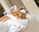 1分からでもじっくりお話し聞きます モヤモヤを話してスッキリしましょう。1人で悩み過ぎないでね！ イメージ10