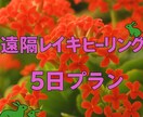 5日間の遠隔レイキヒーリングを行います 心と體が氣楽に流れ行く日々を。 イメージ1
