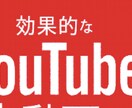 電話で不安解消YouTube広告の出し方を教えます 自分でやると最初は不安。間違ったやり方すると大金を失う イメージ3