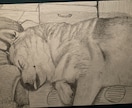鉛筆でお犬さんを描きます お犬さんの思い出の写真を鉛筆画にいたします。 イメージ4