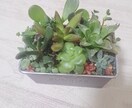 ちょっと聞いて‼️ってことありますよね。聞きます 聞き上手、話せばストレス発散できます。 イメージ3