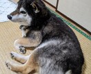 あなたの好きな物事聞きます 推しなど周りに言うのが恥ずかしい人はここで話しましょう！ イメージ10