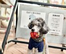 リアル店舗オーナーが開業の相談（単発）に乗ります これから開業したい方の 「最初の壁」を越えるお手伝いをします イメージ5