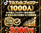 お得！TikTokフォロワー1,000人増加します あなたのアカウントを拡散・成長させます！お得な価格でご提供 イメージ4