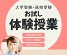 古文・小論文・総合型選抜入試対策の体験授業します 大学受験指導歴26年プロ講師マキ先生が合格をサポート！ イメージ1
