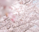 撮ってほしい写真を代行して撮ります ホームページや物撮りなど使いたいものを撮ります。 イメージ5