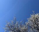 今あなたに必要な癒しのヒーリングをお届けします あたたかい波動に触れてホッと一息 イメージ3