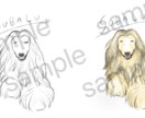 あなたの大切なペットの似顔絵を描きます ペットの可愛いを絵で残してみませんか？プレゼントにも♪ イメージ2