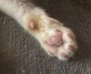 お友達のように、愚痴聞き、話し相手になります もちろん秘密厳守！ストレス発散してスッキリしましょ♪ イメージ1