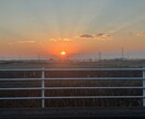 2026年の全体運占います 2026年の大まかな流れをオラクルカードで見ていきます イメージ1