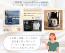 初心者必見！インスタのフィード投稿を代行します ターゲット層に刺さる投稿で集客力アップ！ イメージ5