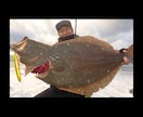 メーカーの現役テスターが釣りのお悩み解決致します メインは人気魚種シーバス、ヒラメの釣り方になります イメージ1