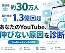 登録者30万人の経験からYouTubeを診断します 累計1.3億回超の実運営経験で改善点を具体化 イメージ1