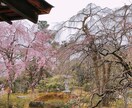 都合の良い友達になります 好きな時に話しかけられて好きな時にブッチできる！ イメージ1