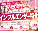 インフルエンサー向けインスタグラム運用をいたします 「認知・ファン獲得」に強いInstagram運用 イメージ1