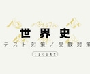 世界史の定期テスト／受験対策をします 大手集団塾で「生徒が選ぶ満足度トップ講師」に毎年選出！ イメージ1