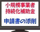 補助金の事業計画書(申請書)を添削します 小規模事業者持続化補助金の採択実績多数あり！ イメージ1