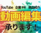 動画編集承ります 丁寧な作品作りがモットーです！ イメージ1