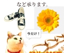 画像の白抜き・背景透過・ロゴ貼りなど加工いたします ECサイトの画像編集/合成/色変え/ショップのロゴ貼り イメージ1
