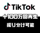 TikTokの再生数＋100万回増加させます 【1動画あたり15万再生〜振り分け可】【大口用】【再生回数】 イメージ1