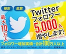 Twitterのフォロワー【5000人】増やします Twitter集客・フォロワー増やし・宣伝・拡散手伝います！ イメージ1
