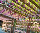 霊感タロットで占います 恋愛♡仕事♡人生♡霊感タロットで占います イメージ1