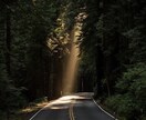 前世縁鑑定｜遠い過去の縁を至高の霊視力で紐解きます 明かされる人間関係に影響する前世の縁と記憶 イメージ3
