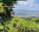 遠隔ヒーリングで心身共に癒します 臼井式レイキヒーリング遠隔20分送ります✨ イメージ1