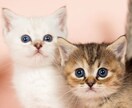 職場での人間関係に悩む方はサポートします もう一人で悩む必要がありません。誰かに話したいという気持ち イメージ1