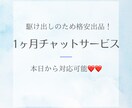 1ヶ月間メッセージのやり取りができます 進路・転職・失恋・転居...新しい価値観を得たい方へ！ イメージ1