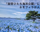 ８.リハビリ教材を提案します 様々なバリエーション！明日からすぐに使える！ イメージ5