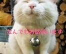 なんでも、お話し聞きます お話しした後に心が軽くなるいつでもあなたの味方です イメージ1