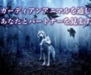 写真提出のみ。守護動物を通じてお二人を見ます アニマルからのメッセージを通じて、お二人を見ます。 イメージ1