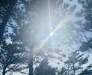 あなたの悩みに寄り添ってお話し聞きます たくさんの経験をしてきた私だからこそ、寄り添えます。 イメージ1