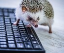 何となく怖い、転職の第一歩の支援をします 転職は不安、でも現状に不満。まずは話してみて！ イメージ1