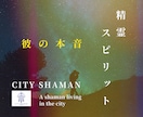精霊霊視｜シャーマンが彼の本音を霊視します 精霊スピリットと宇宙の導きで恋の現在地を読み解きます イメージ1