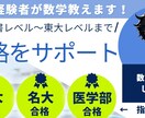 大学入試数学対策のオンライン家庭教師をします 教科書レベルから東大レベルまで手厚く支援します イメージ1