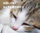 専門学生があなたの話なんでも聞きます 老若男女大歓迎☆あなたに寄り添って癒します(*ˊ˘ˋ*)｡♪ イメージ1