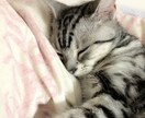 あなたのことを褒め、認め、讃えます どんな人でも素晴らしい！あなたの良さに気付くきっかけに。 イメージ1