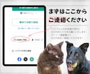 星空のように輝く瞳のペット似顔絵お描きします スマホ待ち受けサイズの画像もプレゼント／犬猫小動物OK イメージ7